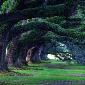 Meet your Posher, Gretchen